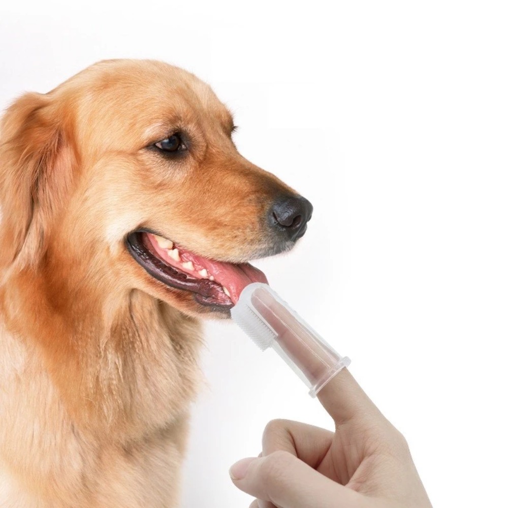 Tools & Workshop Equipment For Sale In Hampshire Page 3 50 Gumtree - Super Soft Pet Finger Toothbrush Teddy